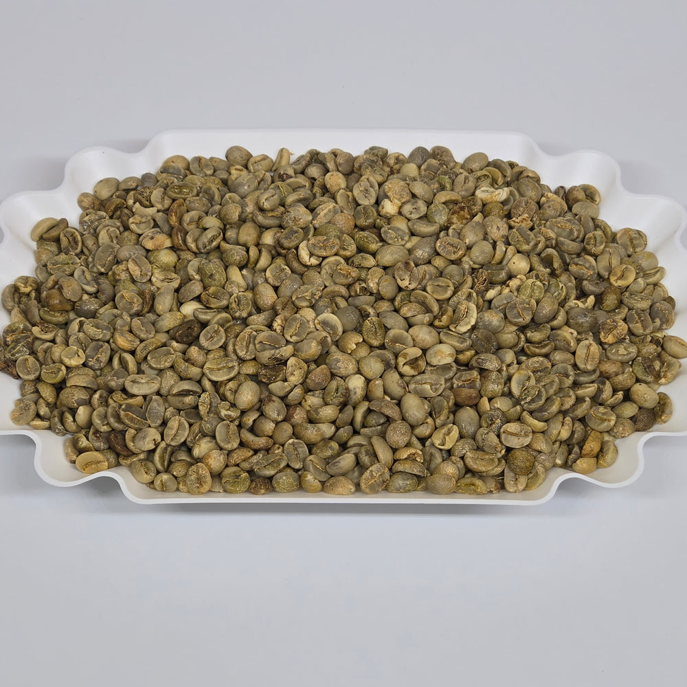 Vietnam Arabica SC16 Grade 2