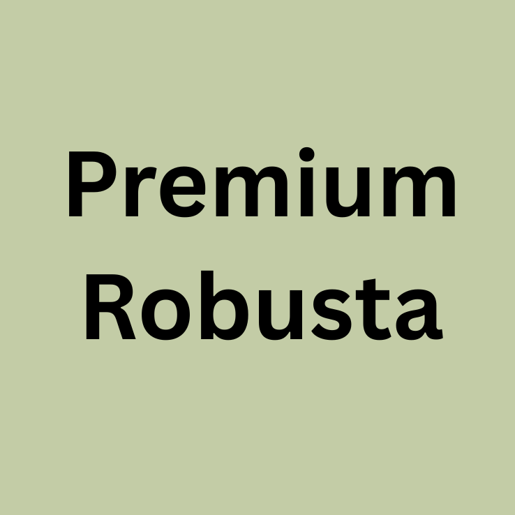 Vietnam Robusta SC16 Grade 1